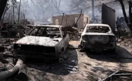 Şili’deki orman yangınlarında hayatını kaybedenlerin sayısı 123’e yükseldi