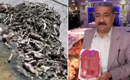 Adana Kasaplar Odası Başkanı: At eti sulu olur, pişirdiğinizde suyu mangalı söndürür