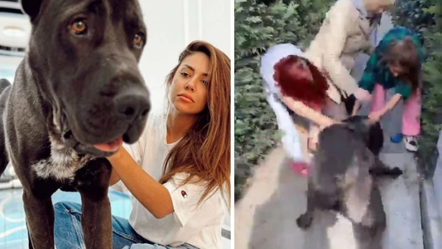 Fenomen Banu Parlak’ın köpeği komşusunun köpeğini öldürdü