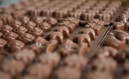 Fildişi Sahilleri ve Gana’da kakao üretimine kısıtlama! Çikolataya zam kapıda