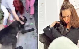 Köpeği, başka bir köpeği öldüren Banu Parlak’tan açıklama: Oyun oynamak için yanına gitti