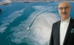 Prof. Dr. Mustafa Sarı, Marmara Denizi’ndeki kirlilik ve müsilaj için uyardı: 50 yılda 19 balık türü kayboldu
