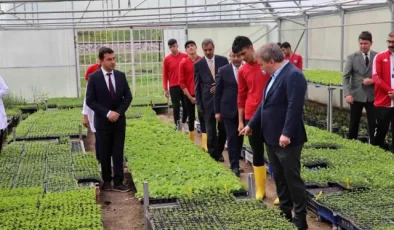 Erzincan’da öğrenciler organik sebzeler yetiştiriyor