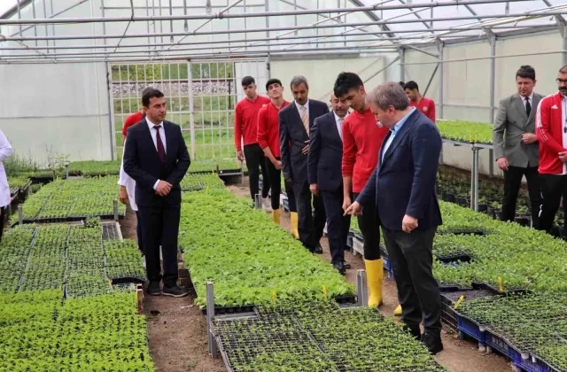 Erzincan’da öğrenciler organik sebzeler yetiştiriyor