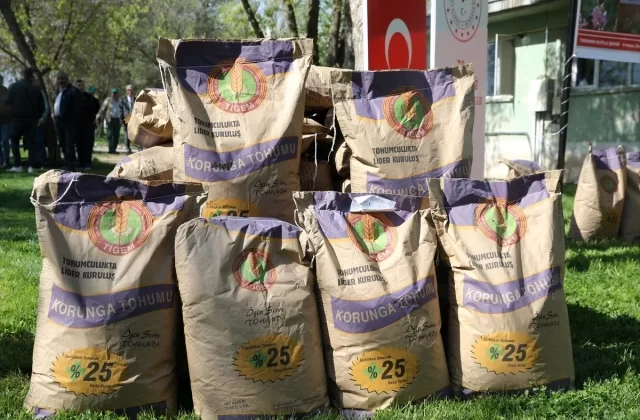 Muş’ta çiftçilere 100 ton korunga tohumu dağıtıldı