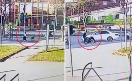 Sokak köpeklerinin kovaladığı genç kıza otomobil çarptı