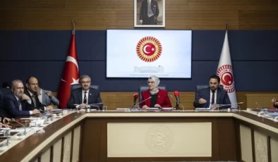 TBMM İnsan Haklarını İnceleme Komisyonu Çocuk Hakları Alt Komisyonu Ankara Büyükşehir Belediyesi Çocuk Meclisi Üyelerini Dinledi