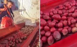 Üreticilerin paylaştığı patates ilaçlama görüntüleri tepki çekti