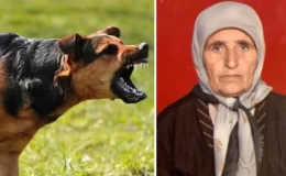 Başıboş köpeklerin saldırdığı yaşlı kadın hayatını kaybetti