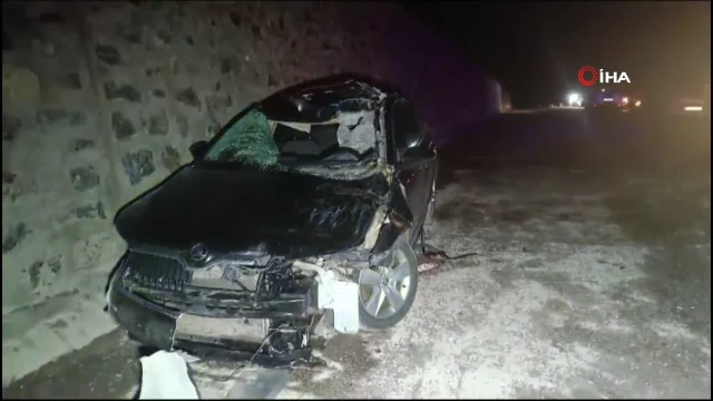 Bingöl’de otomobil ata çarptı: Kazada 1 kişi hayatını kaybetti