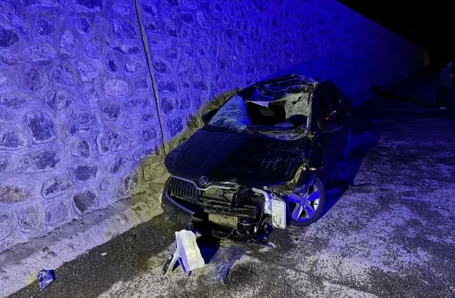 Bingöl’de Otomobilin Ata Çarpması Sonucu 1 Kişi Öldü, 5 Kişi Yaralandı