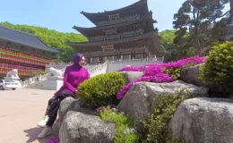 Güney Kore’yi, sarayları, geleneksel pazarları ve köyleri ile keşfedelim