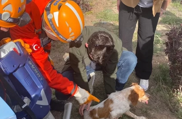 Sivas’ta Otomobil Kazasında 2 Kişi Yaralandı, Köpek AFAD Ekipleri Tarafından Kurtarıldı