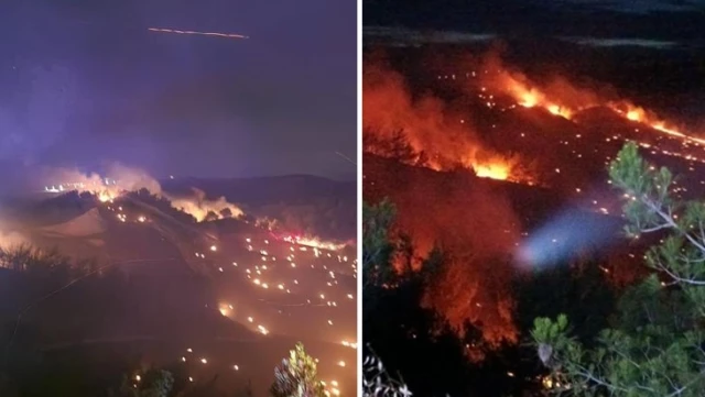 Adana’da korkutan orman yangını! Çok sayıda ekip sevk edildi