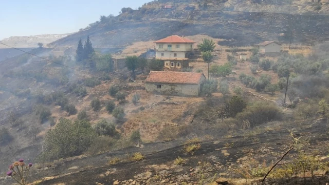 Alevlere evlere kadar ulaştı! Manisa’da orman yangını saatlerdir söndürülemiyor