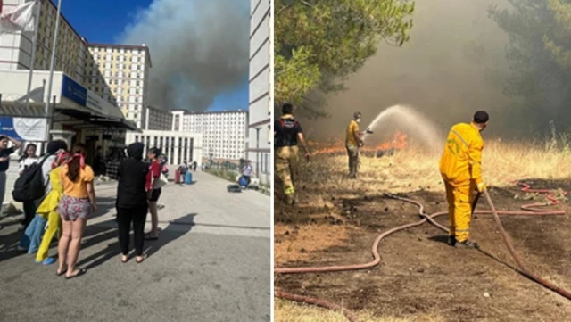 Bursa’daki anız yangını Uludağ Üniversitesi’ndeki ormanlık alana sıçradı