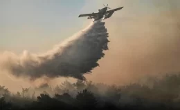 Çanakkale Eceabat’ta dünden beri devam eden orman yangını kontrol altına alındı