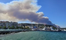 Çanakkale’de orman yangını! Boğaz’da gemi trafiği tek yönlü askıya alındı
