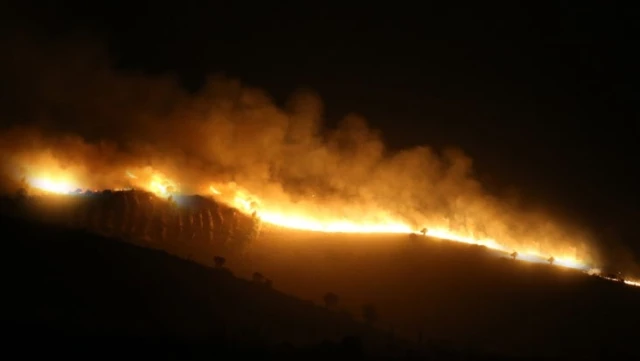 Diyarbakır ve Mardin arasındaki anız yangınında hayatını kaybedenlerin sayısı 6’ya yükseldi