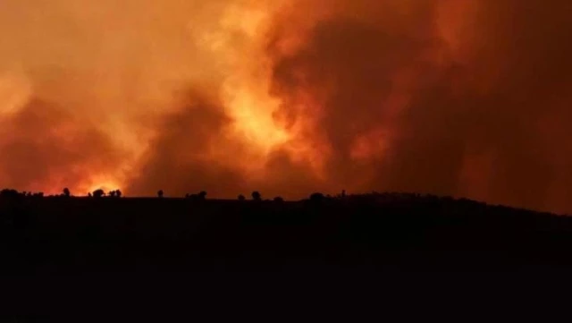 Diyarbakır ve Mardin’deki anız yangınlarında hayatını kaybedenlerin sayısı 11’e yükseldi