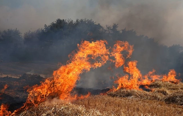 Dünden beri alevlere teslim olan Çanakkale’de yangının ilerlemesi durduruldu