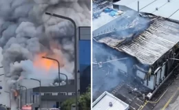 Güney Kore’de pil fabrikasında yangın: 22 ölü