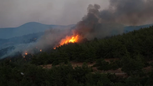 İzmir’in 5 ilçesinde orman yangını! Bakan Yumaklı bölgede