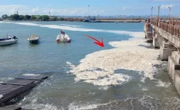 Karadeniz müsilaj istilasında! Mavi bayraklı plajda tatilcileri yıkan manzara