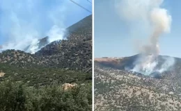 Manisa ve Uşak’ta orman yangını! 2 mahallede yaşayan 430 kişi tahliye edildi
