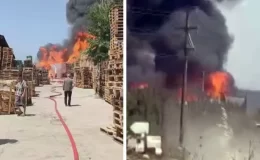 Palet fabrikası alev alev yanıyor! Ekipler yangınla mücadele için bölgede