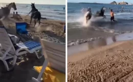 Sahibinin elinden kaçan atlar plajdaki insanların arasına daldı