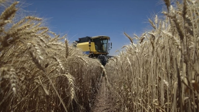 Tarım-ÜFE Mayıs’ta yıllık yüzde 61,24 arttı