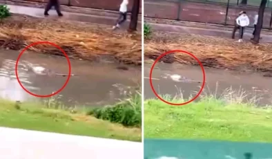 Bursa’da yağmur sularının yükselttiği derede erkek cesedi bulundu