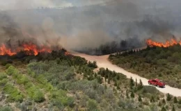 Çeşme’de 3 kişinin hayatını kaybettiği orman yangınında 2 tutuklama