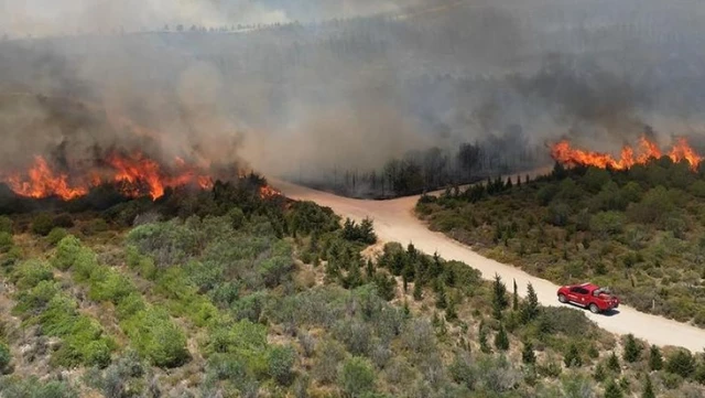 Çeşme’de 3 kişinin hayatını kaybettiği orman yangınında 2 tutuklama