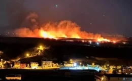 Diyarbakır’da anız yangını! İki ilçeden itfaiyeler bölgeye sevk edildi
