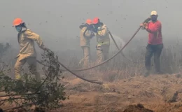 Edirne’de Bulgaristan sınırında orman yangını çıktı