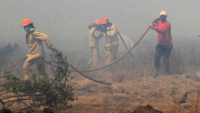 Edirne’de Bulgaristan sınırında orman yangını çıktı