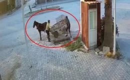Hırsızlık anı kamerada! At arabasıyla şehrin mazgallarını bir bir çaldılar