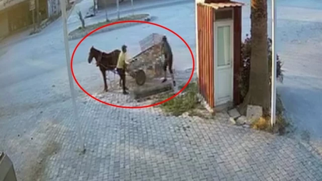 Hırsızlık anı kamerada! At arabasıyla şehrin mazgallarını bir bir çaldılar