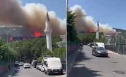 İstanbul’daki Aydos Ormanı’nda yangın çıktı! Alevler yerleşim yerlerine doğru ilerliyor