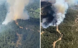 İzmir Ödemiş’te orman yangını! Ekipler zamana karşı yarış başlattı