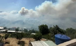 İzmir ve Balıkesir’de orman yangını! 2 mahalle boşaltıldı, Manisa kara yolu trafiğe kapatıldı