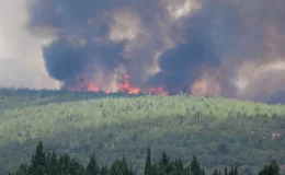 İzmir’de orman yangını! Alevler Adnan Menderes Havalimanı’na kadar yaklaştı, seferler iptal edildi