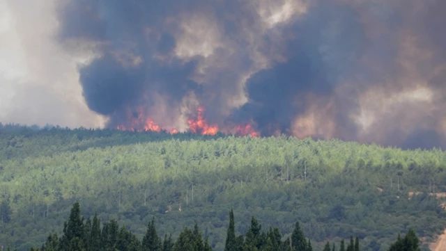 İzmir’de orman yangını! Alevler Adnan Menderes Havalimanı’na kadar yaklaştı, seferler iptal edildi