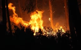 İzmir’de orman yangını! Alevler yerleşim yerlerine kadar yaklaştı, vatandaşlar seferber oldu