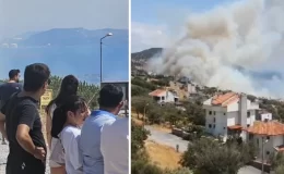 İzmir’de orman yangını! Alevlerin yaklaştığı site tahliye edildi