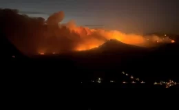 Manisa’da orman yangını! Alevlerle mücadele devam ediyor, 2 mahalle boşaltıldı