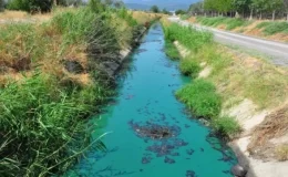 Manisa’da sanayi atıkları sulama kanalını maviye çevirdi