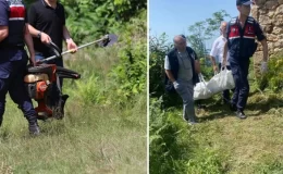 Oğlunun kullandığı çim biçme makinesi sonu oldu! Ayağı kesilen 72 yaşındaki kadın can verdi